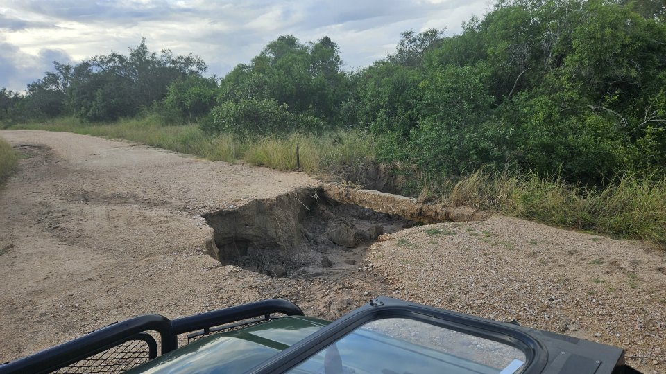 <h2>The Best of South Africa Escorted 2023</h2> 14 Nights | 6 Rounds | March 11 - 25